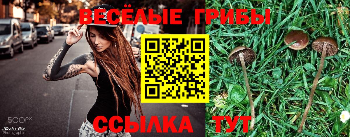 ГАШИШ  Вейп ТГК  МДМА  Меф кристаллы  ГАШ  Alpha PVP СОЛЬ кристаллы  Тара  Кокаин  Вход с VPN  Конопля 