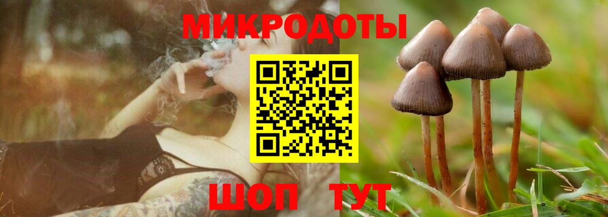 Галлюциногенные грибы Psilocybe  Вход с VPN  Тара 